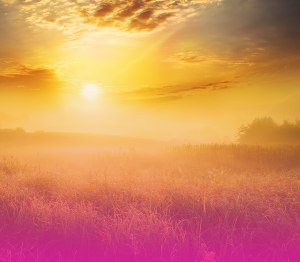 Капельница Beauty. Формула сияния